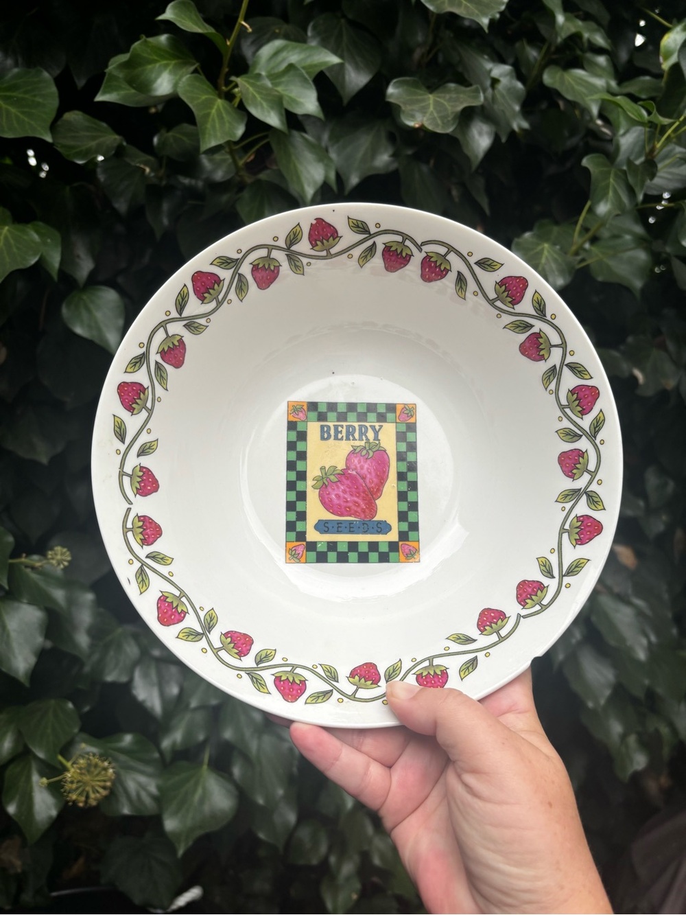 Vintage Cottagecore Berry Bowl
